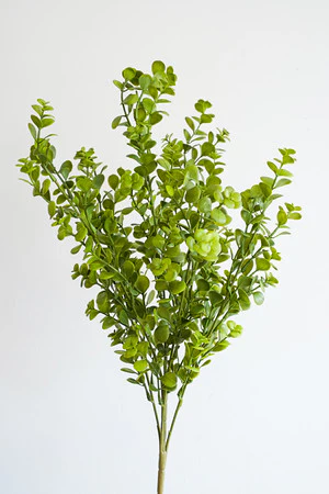 Best Sellers - Home Decor